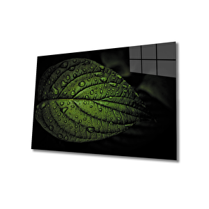 Yaprak Cam Tablo 36x23 cm