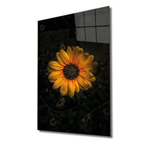 Sarı Ayçiçek Cam Tablo Yellow 50x70 cm