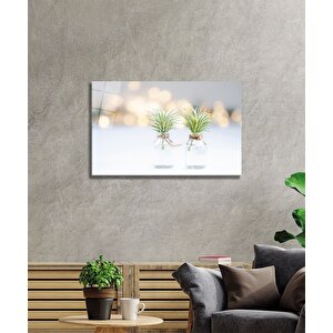 Ot Şişe Cam Tablo 50x70 cm