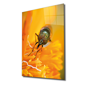 Sarı Arı Cam Tablo Yellow Bee 36x23 cm