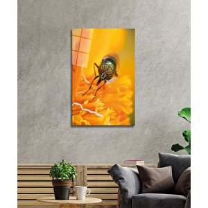Sarı Arı Cam Tablo Yellow Bee 36x23 cm