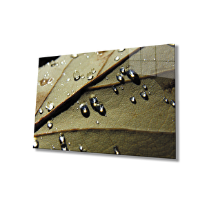 Su Damlaları Yaprak Cam Tablo 50x70 cm