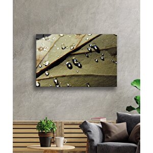 Su Damlaları Yaprak Cam Tablo 50x70 cm