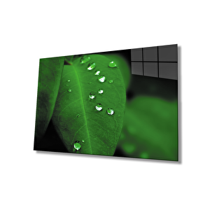 Su Damlaları Yeşil Yaprak Cam Tablo 36x23 cm