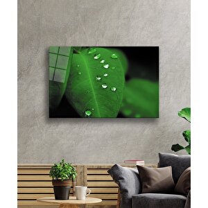 Su Damlaları Yeşil Yaprak Cam Tablo 36x23 cm