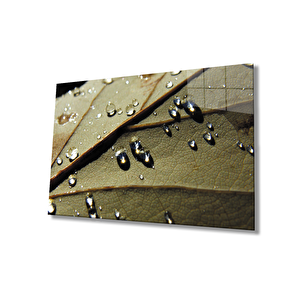 Su Damlaları Yaprak Cam Tablo 110x70 cm