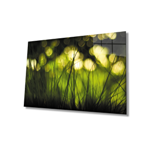 Yeşil Işık Görselli Cam Tablo Yeşil Işık Görselli 36x23 cm