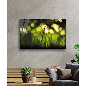 Yeşil Işık Görselli Cam Tablo Yeşil Işık Görselli 36x23 cm