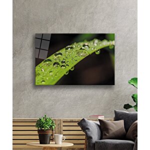 Su Damlaları Yeşil Yaprak Cam Tablo 90x60 cm