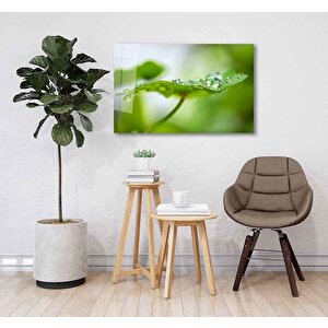 Su Damlaları Yeşil Yaprak 50x70 cm