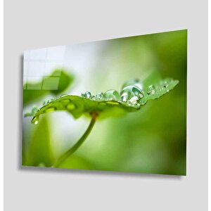 Su Damlaları Yeşil Yaprak 90x60 cm