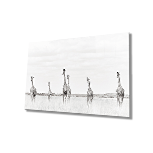 Zürafalar Cam Tablo 36x23 cm