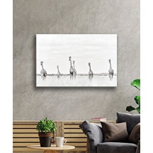 Zürafalar Cam Tablo 36x23 cm