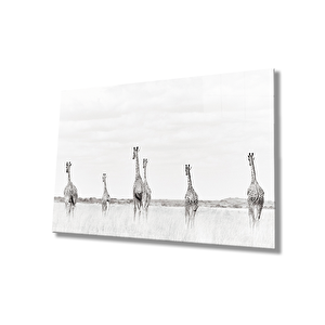 Zürafalar Cam Tablo 90x60 cm