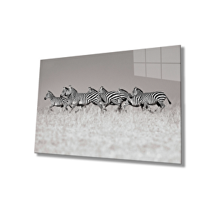 Zebra Cam Tablo 36x23 cm