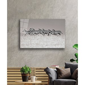 Zebra Cam Tablo 50x70 cm