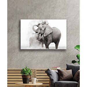 Fil Cam Tablo 36x23 cm