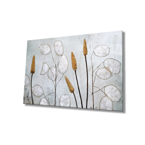 Bitki Cam Tablo Plant Table 50x70 cm