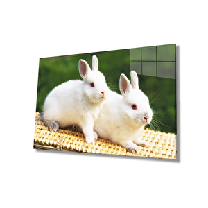 Tavşanlar Cam Tablo 90x60 cm
