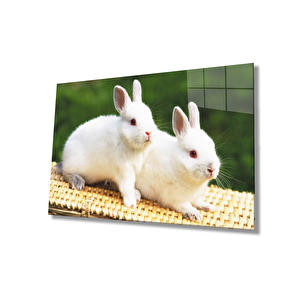 Tavşanlar Cam Tablo 36x23 cm