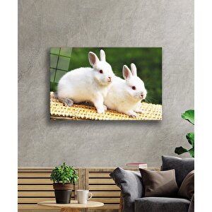 Tavşanlar Cam Tablo 36x23 cm