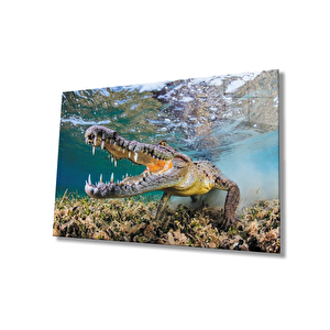 Timsah Sualtı Cam Tablo 36x23 cm