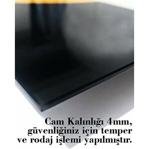 Timsah Sualtı Cam Tablo 90x60 cm