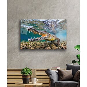 Timsah Sualtı Cam Tablo 50x70 cm