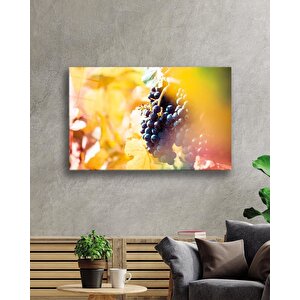 Üzüm Cam Tablo Grape 50x70 cm