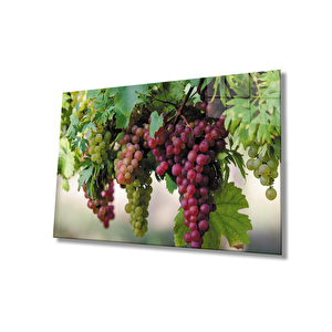 Üzüm Cam Tablo Grape 50x70 cm
