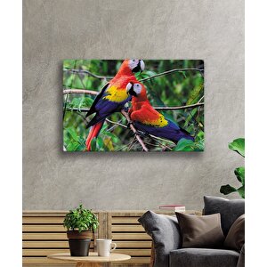 Papağan Cam Tablo 50x70 cm