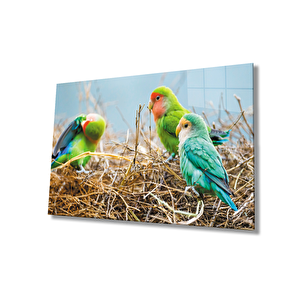 Papağanlar Cam Tablo 110x70 cm