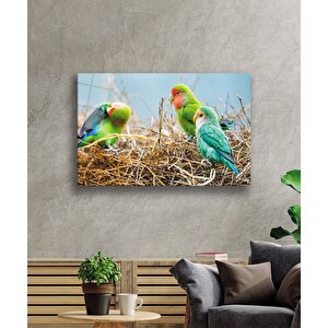 Papağanlar Cam Tablo 110x70 cm