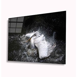 Pelikan Cam Tablo 50x70 cm