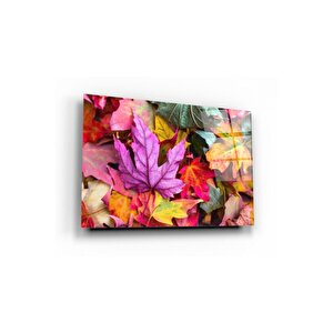 Cam Tablo 50x70 cm
