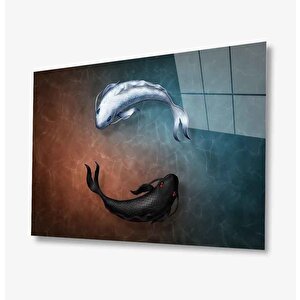 Cam Tablo 50x70 cm