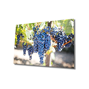 Siyah Üzüm Cam Tablo Grape Art 36x23 cm