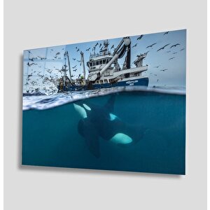 Sualtı Cam Tablo 50x70 cm