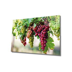 Üzüm Cam Tablo Grape 50x70 cm