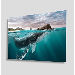 Sualtı Cam Tablo 50x70 cm