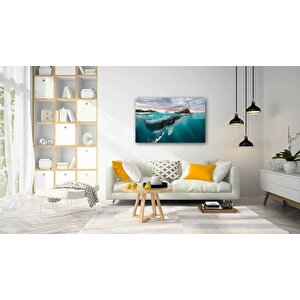 Sualtı Cam Tablo 50x70 cm