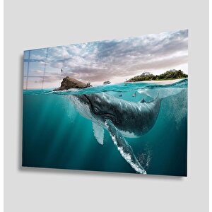Sualtı Cam Tablo 50x70 cm