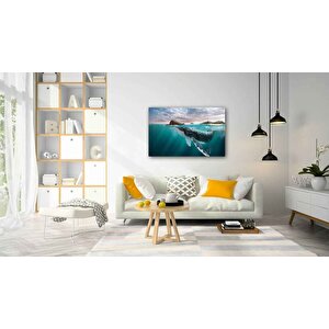 Sualtı Cam Tablo 50x70 cm