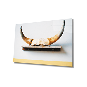 Boynuz Cam Tablo 36x23 cm