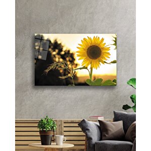 Ayçiçeği Cam Tablo 90x60 cm