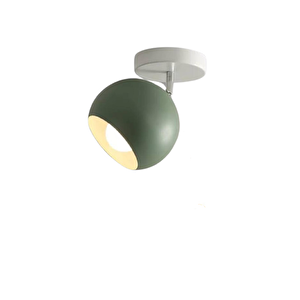 Metal Retro Su Yeşili Tavan Plofyoner 180 Derece Hareketli Modern Spor Avize Çap:20 Cm