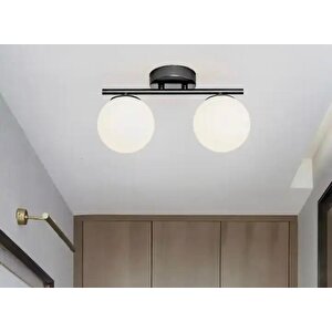 Metal Modern Opal Camlı Tavan Plofyoner 2 Li Tavan Avize