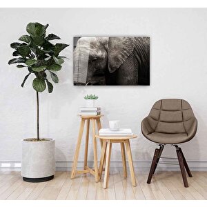 Fil Cam Tablo 50x70 cm