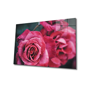 Rose Cam Tablo 36x23 cm