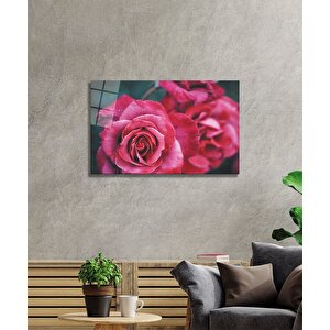 Rose Cam Tablo